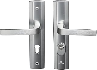 Bricard 9910171 Ensemble de Poignées Blindées sur Plaque EXPRESSION Béquille + Béquille pour Porte d’entrée (pour Cylindre Européen), coloris Argent