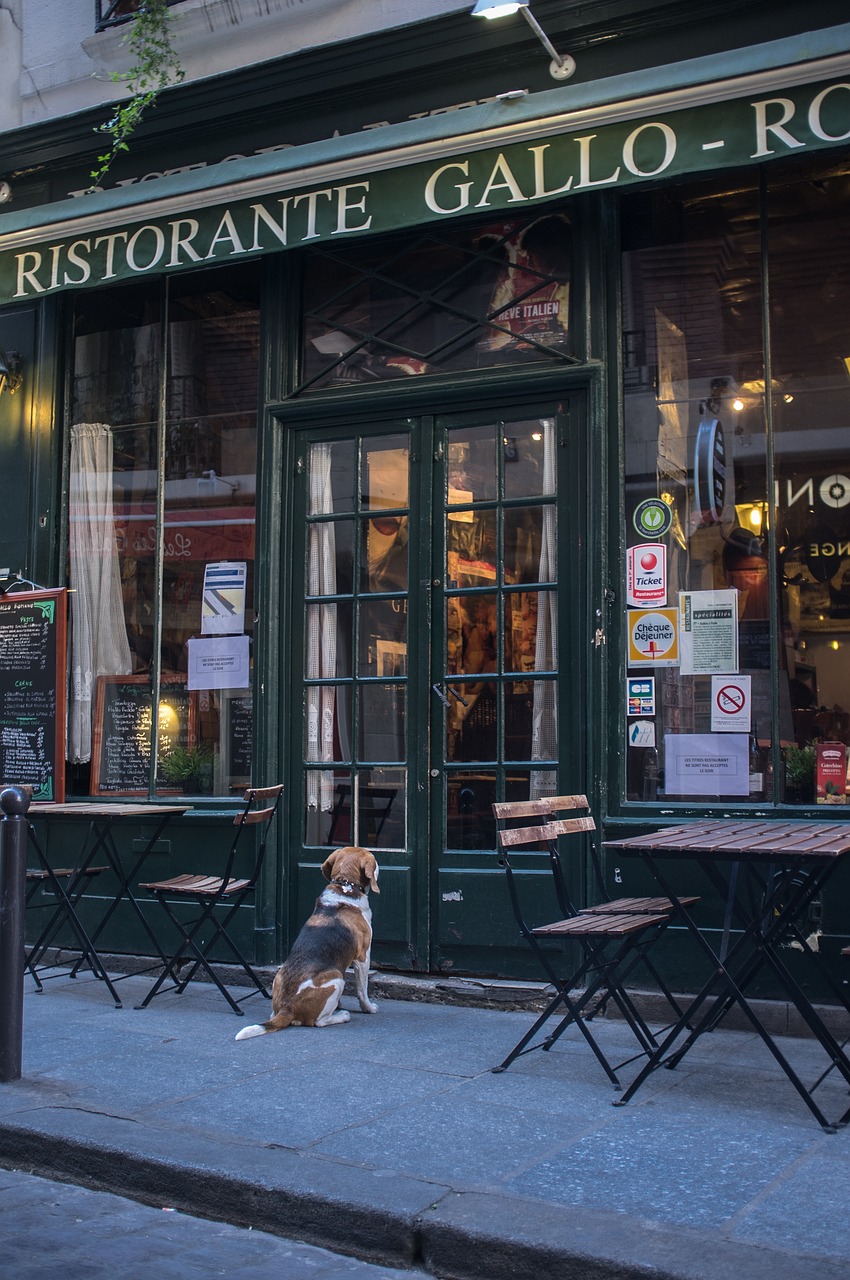 découvrez notre auvent de patio élégant et résistant, idéal pour protéger votre terrasse du soleil et des intempéries tout en ajoutant une touche de style à votre espace extérieur.