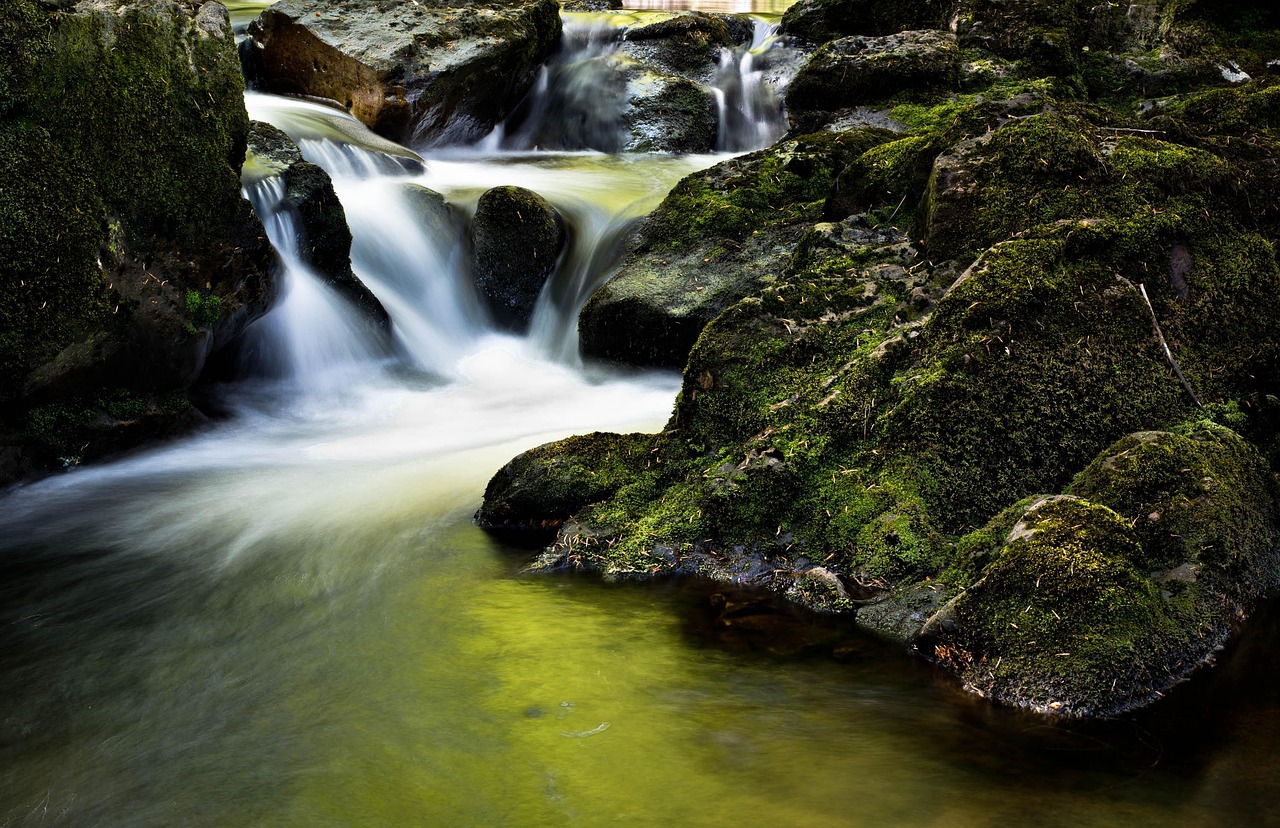 remplacer une chasse d’eau qui fuit : guide complet pour réussir